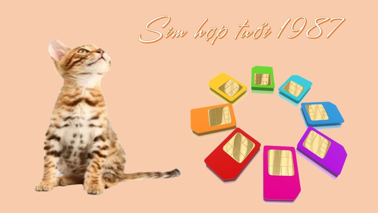 Cách chọn sim hợp tuổi Đinh Mão